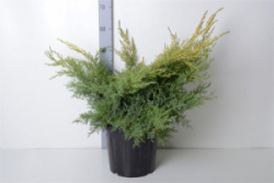 fef15614_7489_11e9_96b6_c860006a9f7d_9762d6f4_b82f_11ee_82f1_c860006a9f7d