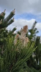 IMG_20260412_120408